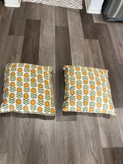 BRAND NEW TWO THROW PILLOWS/$9.00 pair