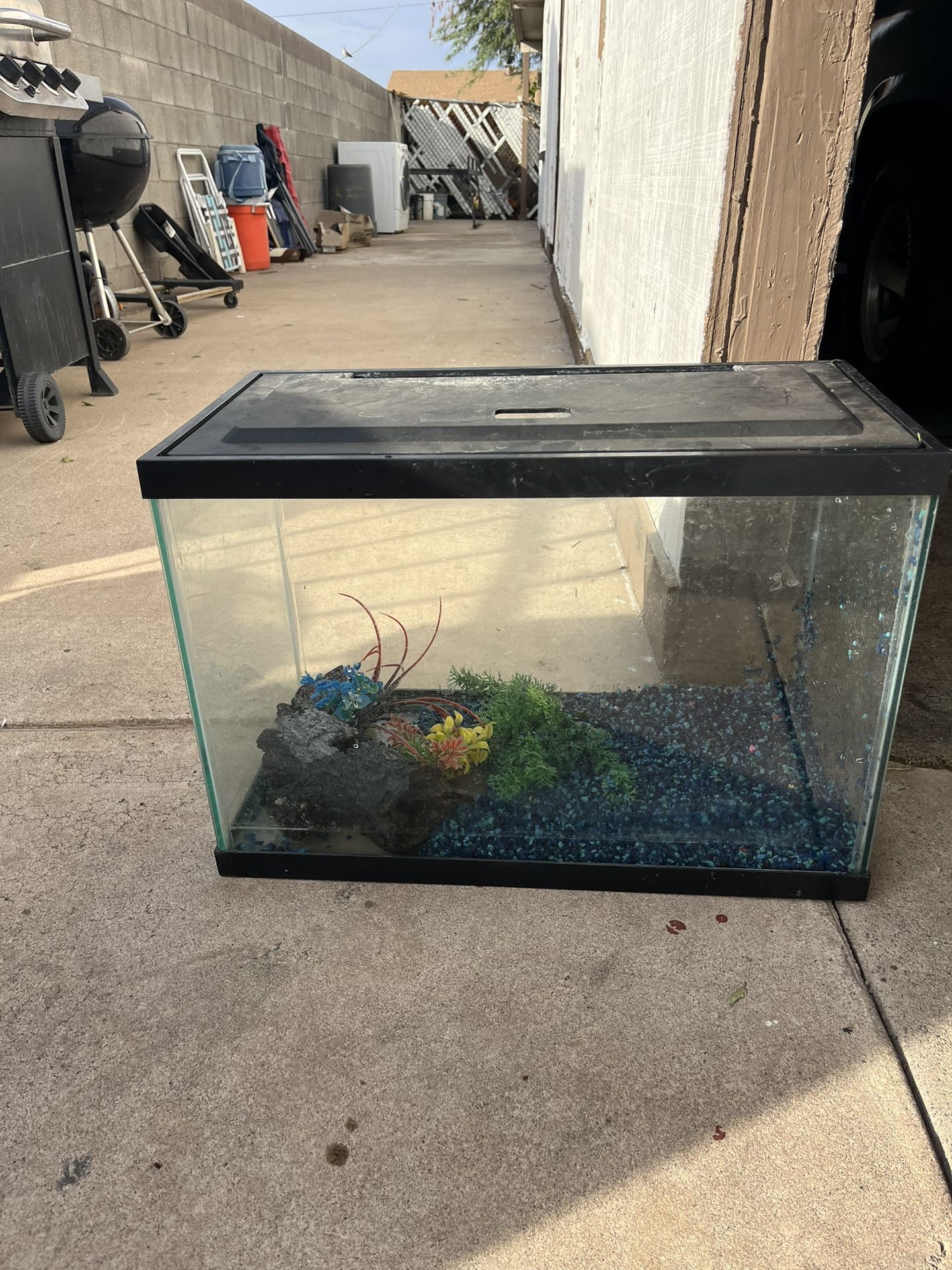 Pesera En Buenas Condones  Es Grande 