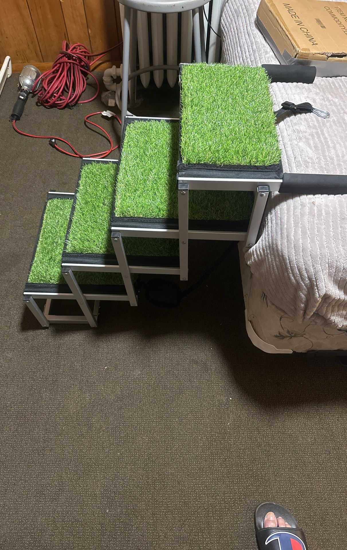 Dog Steps New