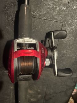 Shakespeare Baitcasting Fishing Reel