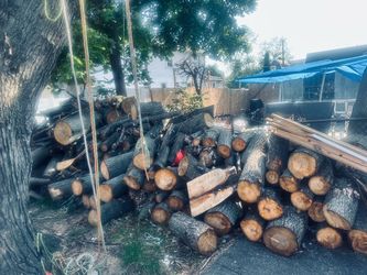 Free Firewood