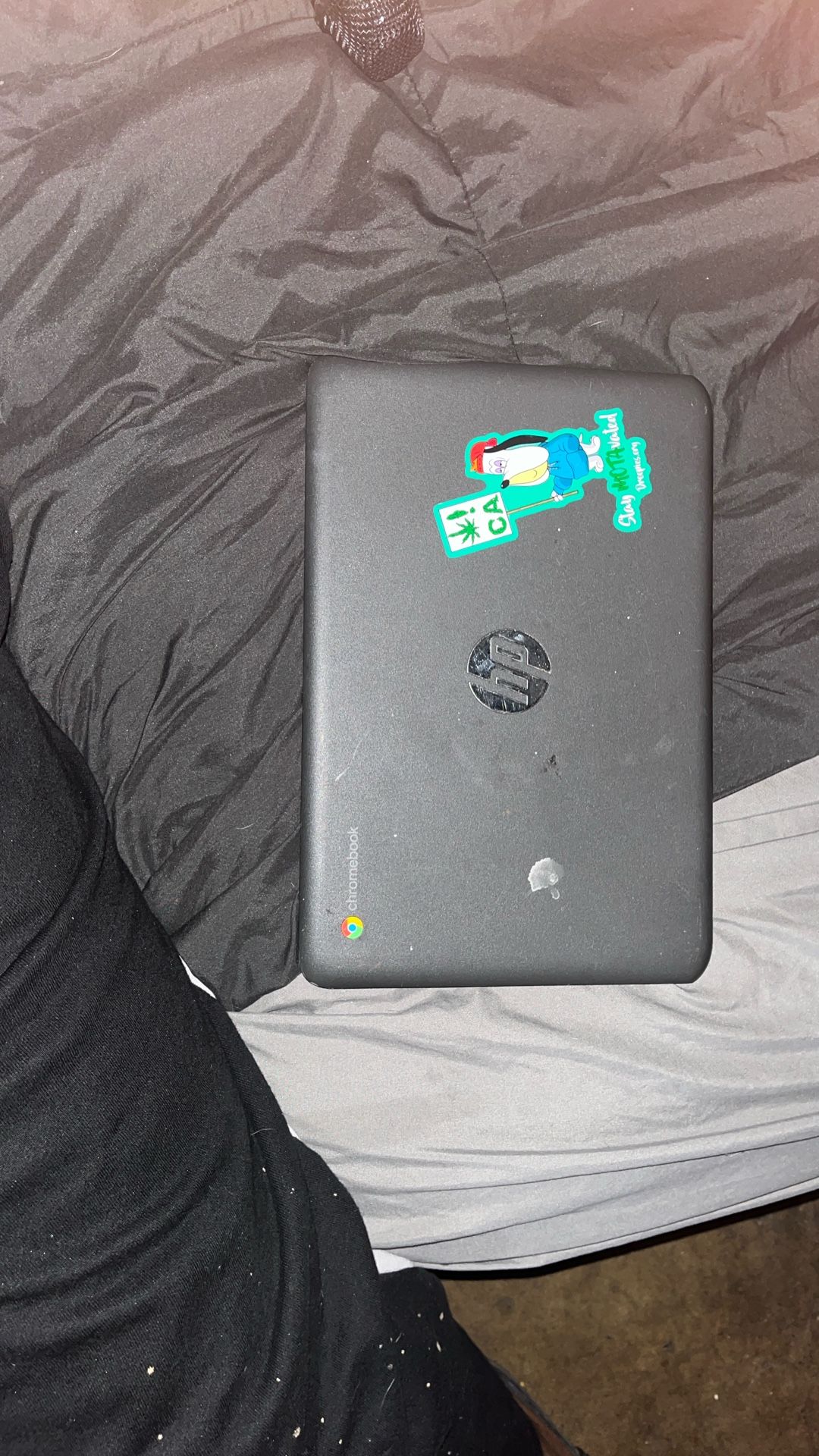 Chromebook With Charger