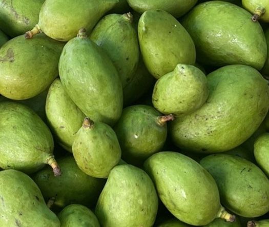 Mango Green Mangos