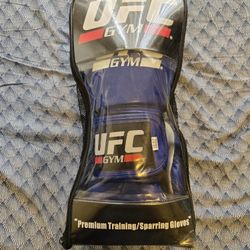 UFC Boxing Glove