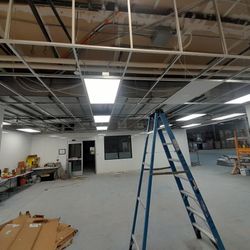 Acoustical Ceiling