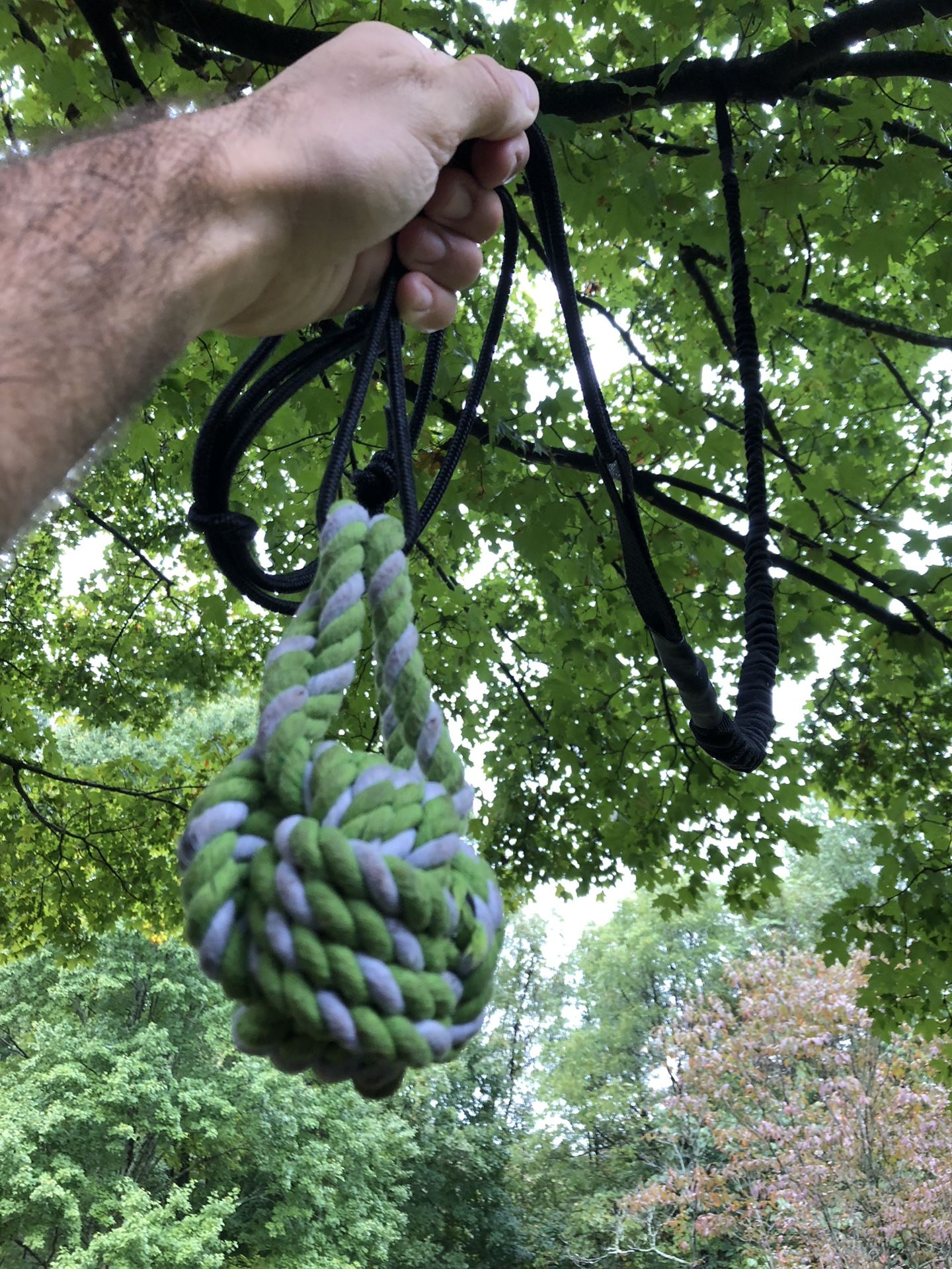 Dog toy Bungee cord