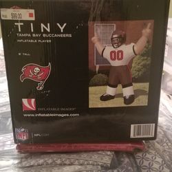 Tampa Bay Buccaneers TINY