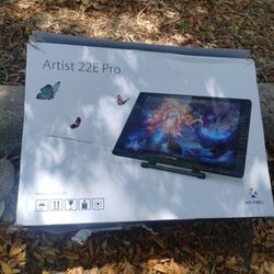 XP-Pen : Artist 22E Pro Drawing Display Tablet/Monitor