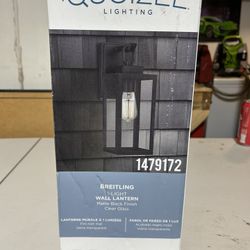 Qty 1 Quoizel Lightning 