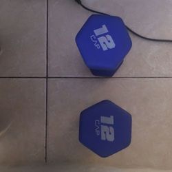 12 Pound Dumbells (blue)