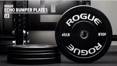 Rogue echo bumper weights 260lb