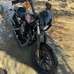 2020 Harley Davidson Sport