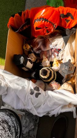 3.   Boxes.  De. Halloween.  Decoraciones.
