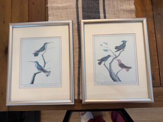 Pottery Barn Vintage French Bird Botanical Prints – Set of 2