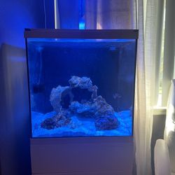 Complete 20 Gallon Reef Tank 