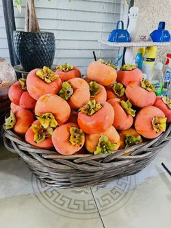 Persimmons
