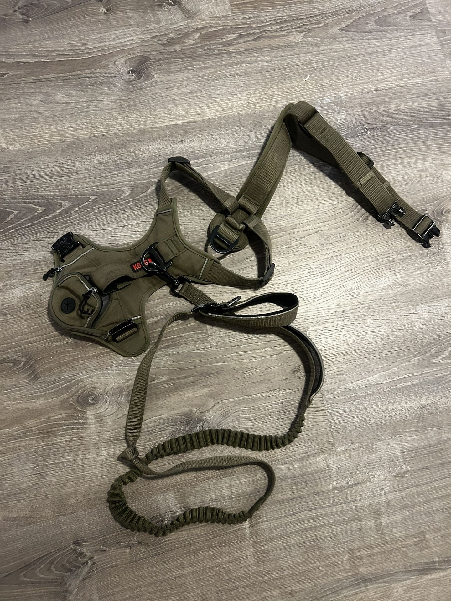 KONG Dog Harness & leash