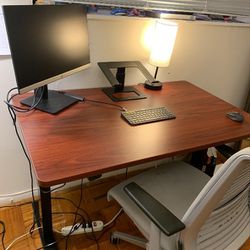 Standing Desk + Other Furniture & Household Items
