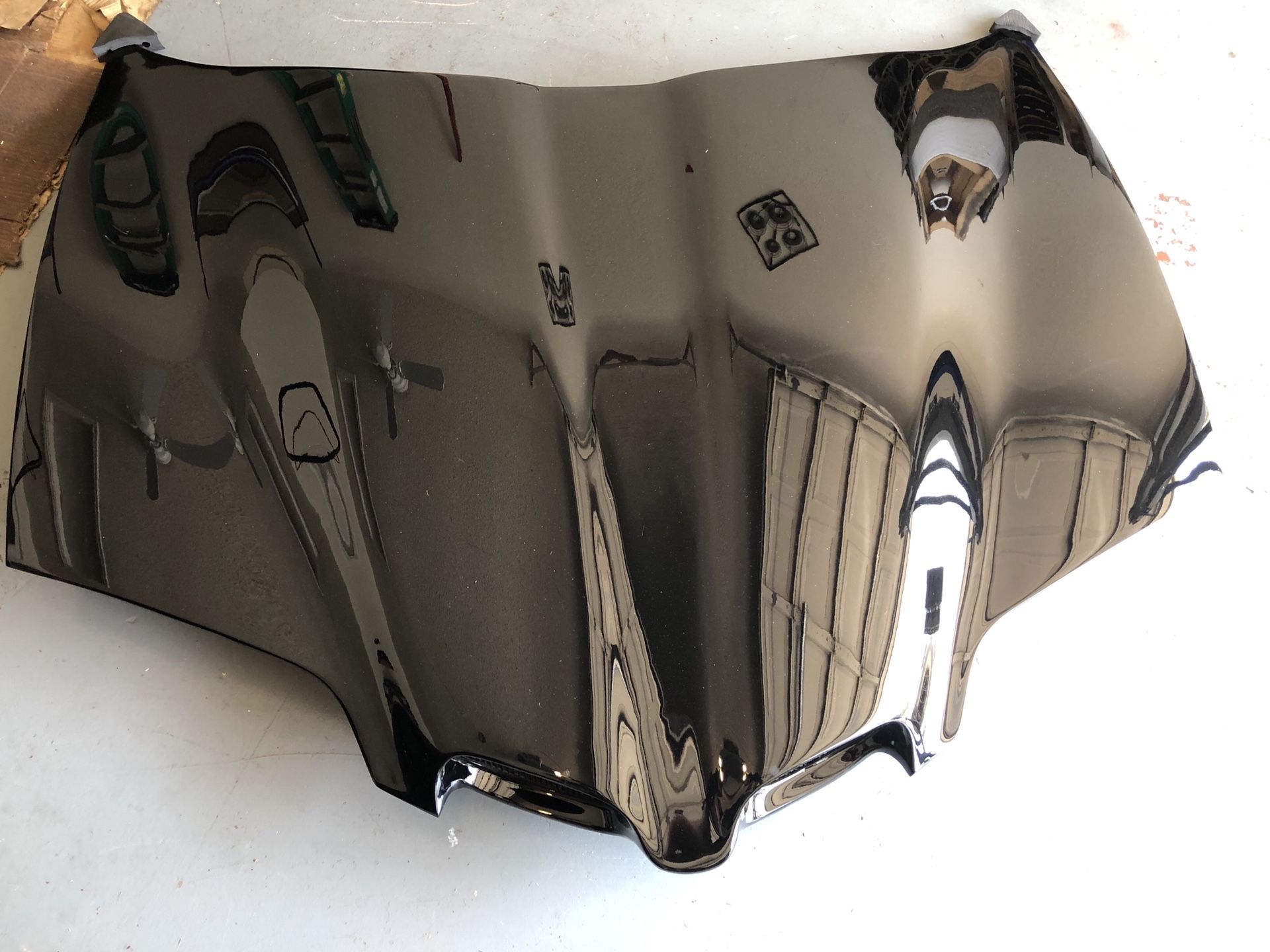 Trans Am Suncoast Raptor Hood