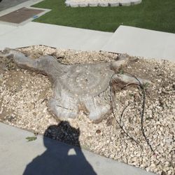 Stump Grinding 