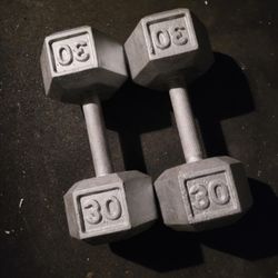 30lbs Dumbells Weights