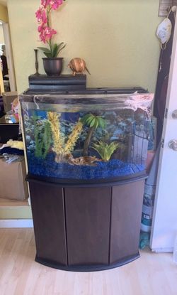 30 Gallon Fish Tank