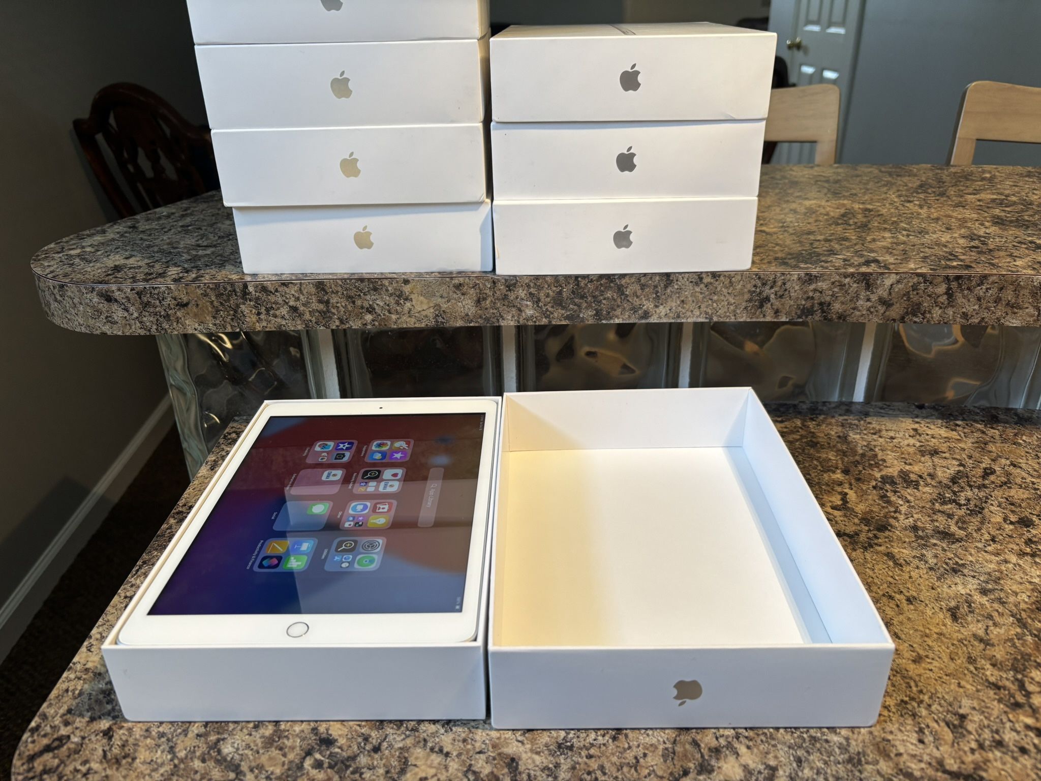 Apple IPad 9