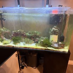 Fish tank ,black color , acrylic