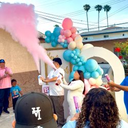 Gender Reveal Fire Extinguishers 