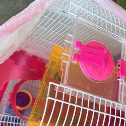 Hamster