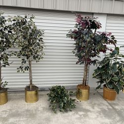 Fake Plants. 