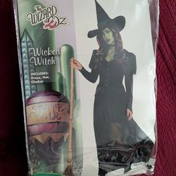 Wizard Of Oz - XL Wicked Witch Costume 