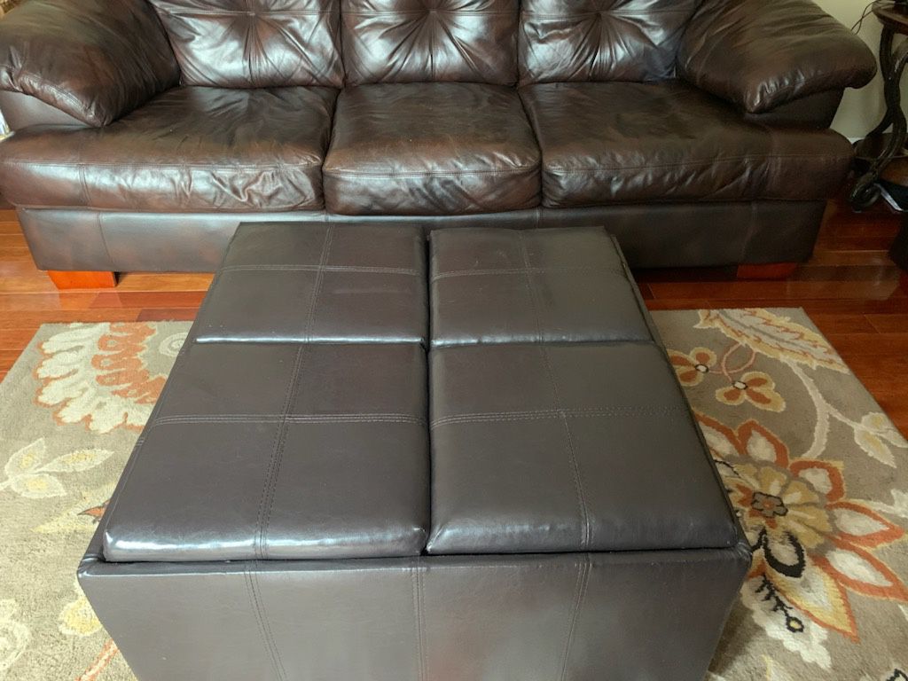 Ottoman Brown With 4 Eating Trays