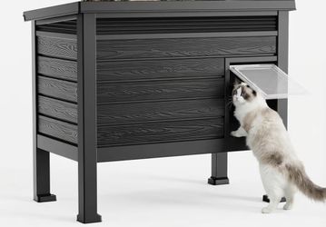 Big Cat House