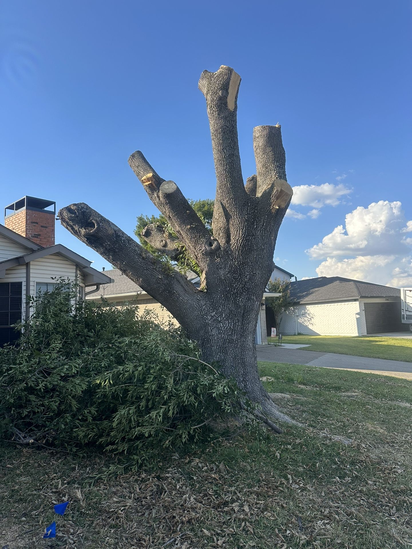 Firewood FREE - $500 Worth