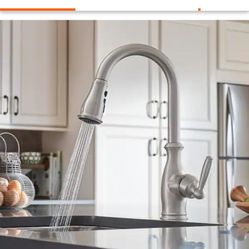 Brand new in the box mowing pull out kitchen faucet, brush, nickel