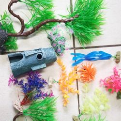 Accessories 
