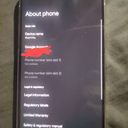 Google Pixel 9 Pro