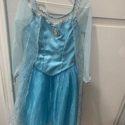 Disney Park Elsa Dress Costume 