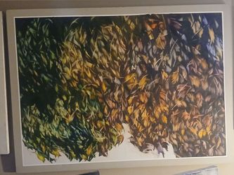 Framed Botanical Leaf Art Print