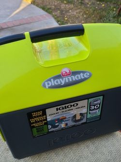Lunch Or Cold Drinks