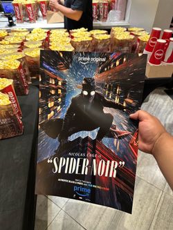 Spider man Noir poster