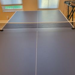 Ping Pong Table