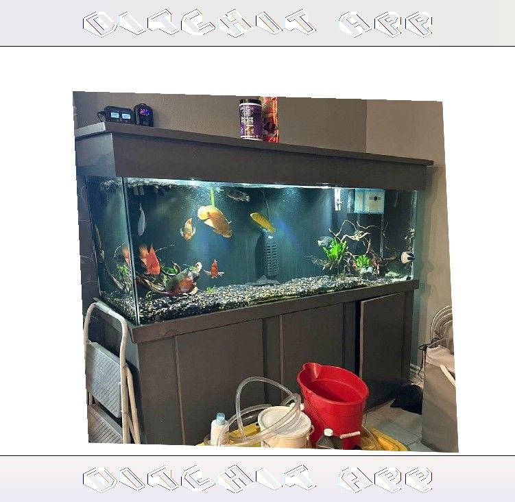 Top-Grade Aquarium Setup - Premium Quality Standard yeah page