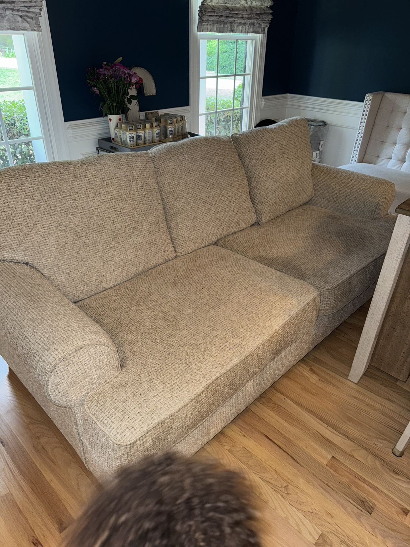 Couch/Sofa