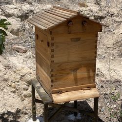 Bee Hive Including Bees