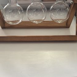 Beaker plant stand - makes a great Gift!