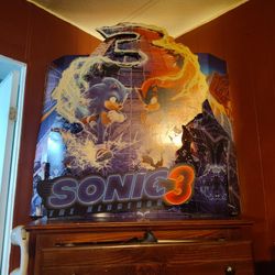 Sonic Toy Store Display