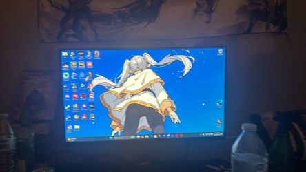 Raywego gaming monitor 240hz