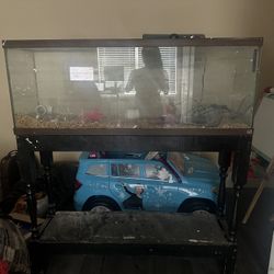 Fish Tank with Pump